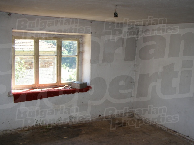 Gallery Picture 6