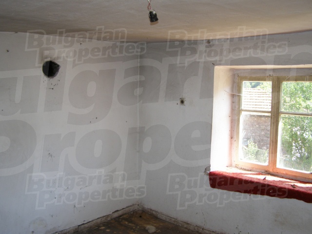 Gallery Picture 7
