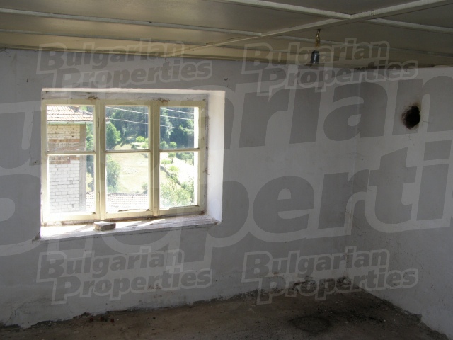Gallery Picture 8