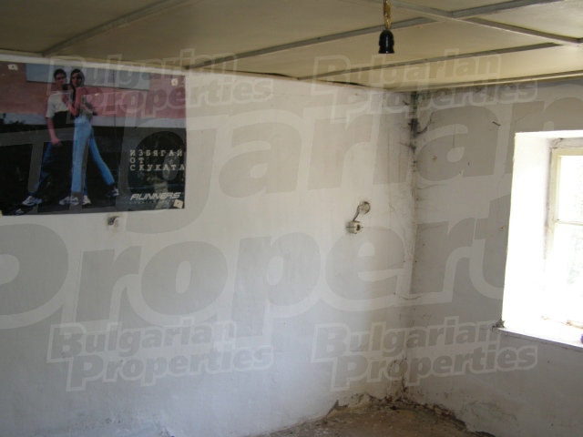 Gallery Picture 9