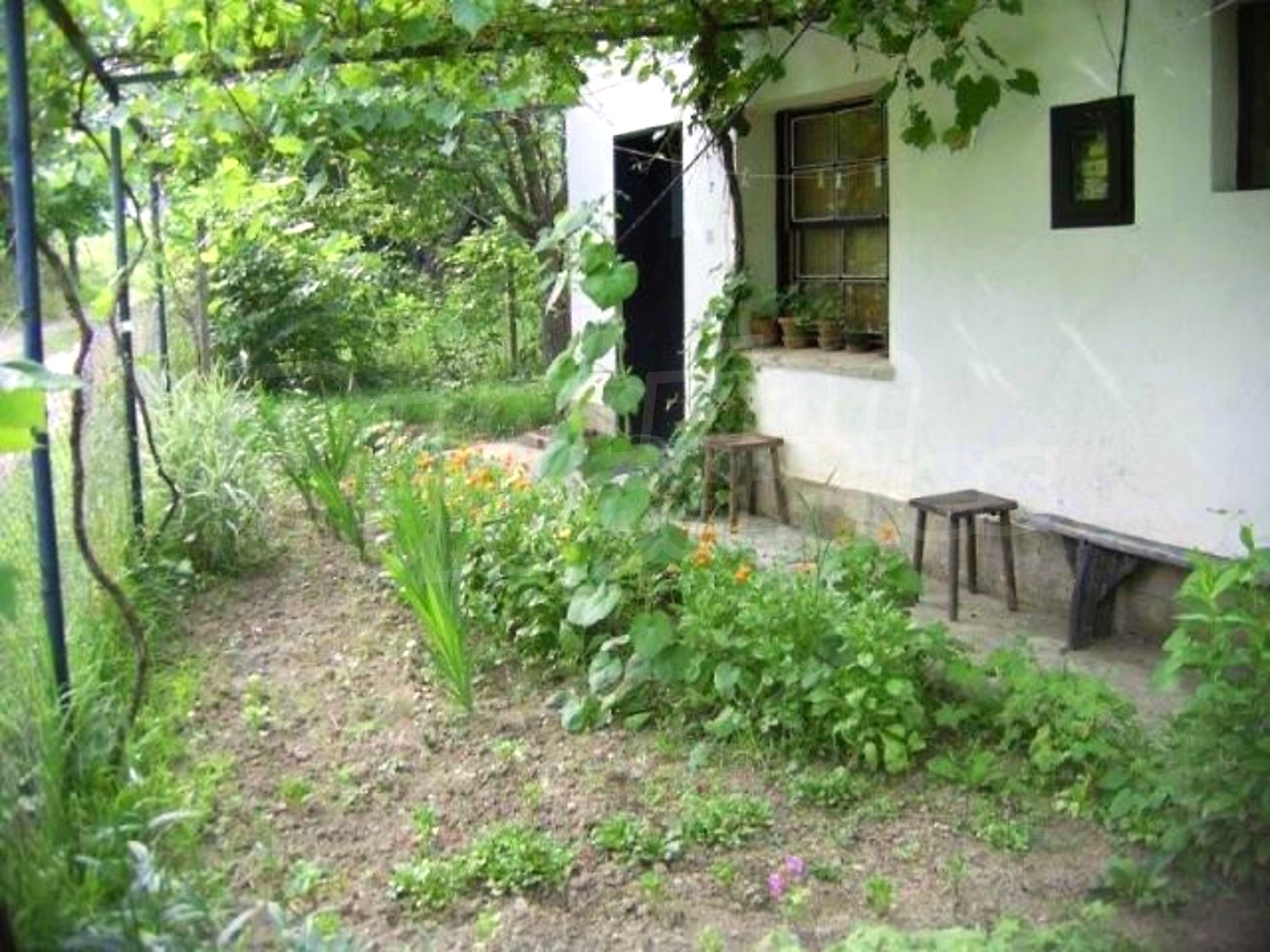 Gallery Picture 14