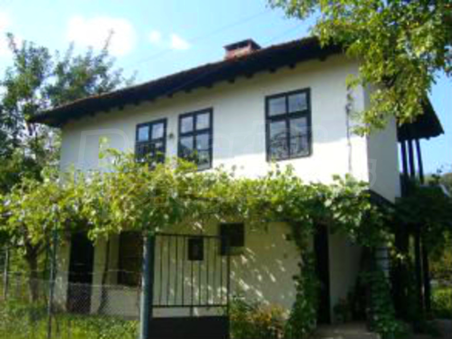 Gallery Picture 36
