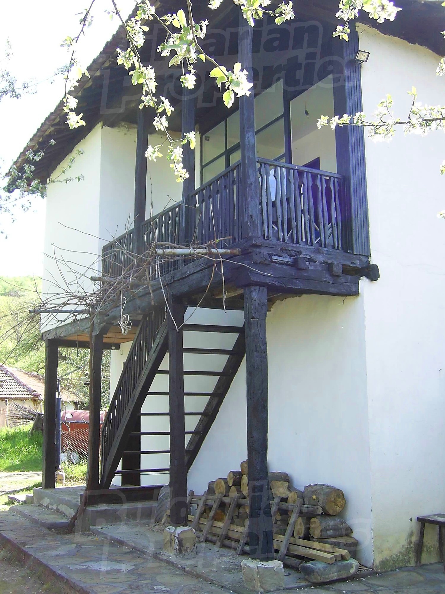 Gallery Picture 39