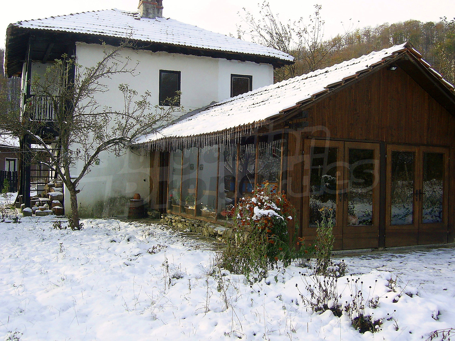 Gallery Picture 48