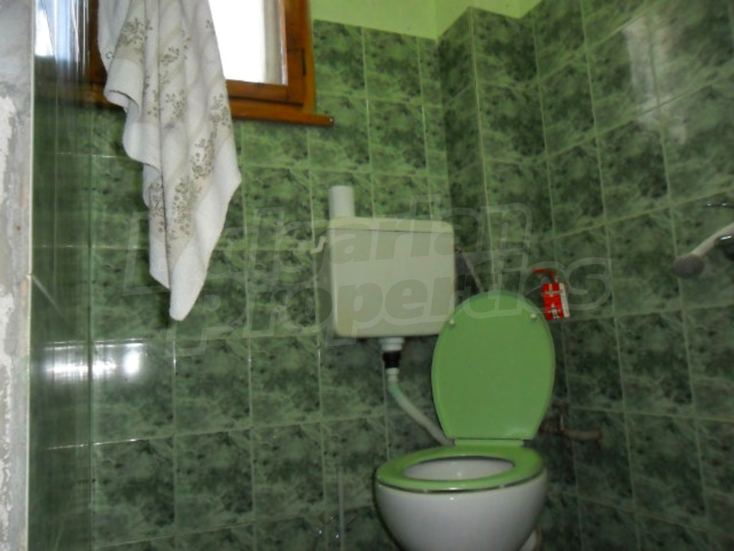 Gallery Picture 18