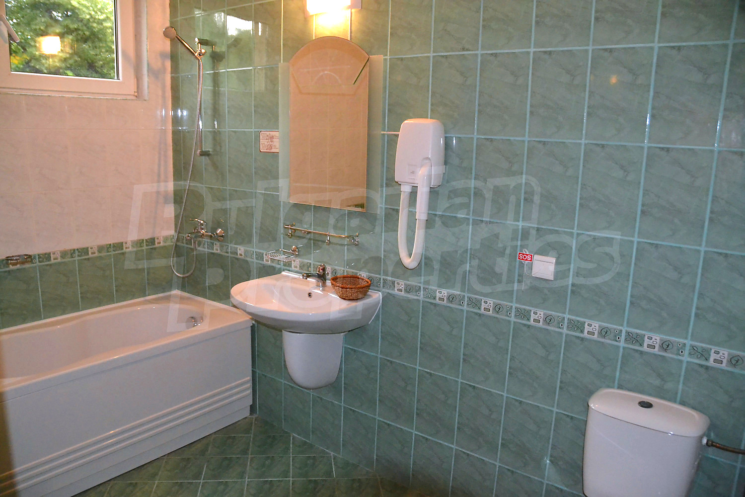 Gallery Picture 10