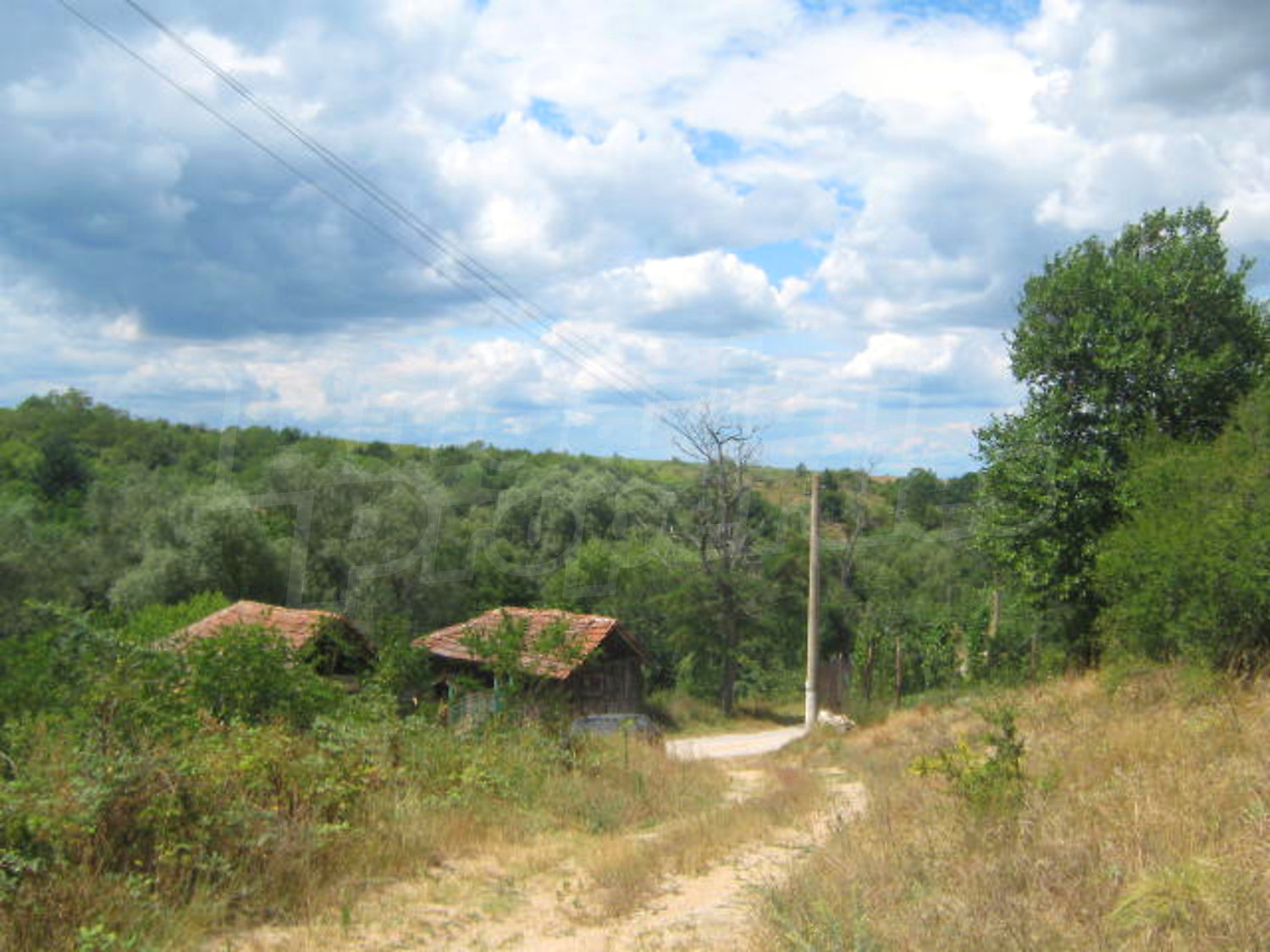 Gallery Picture 10