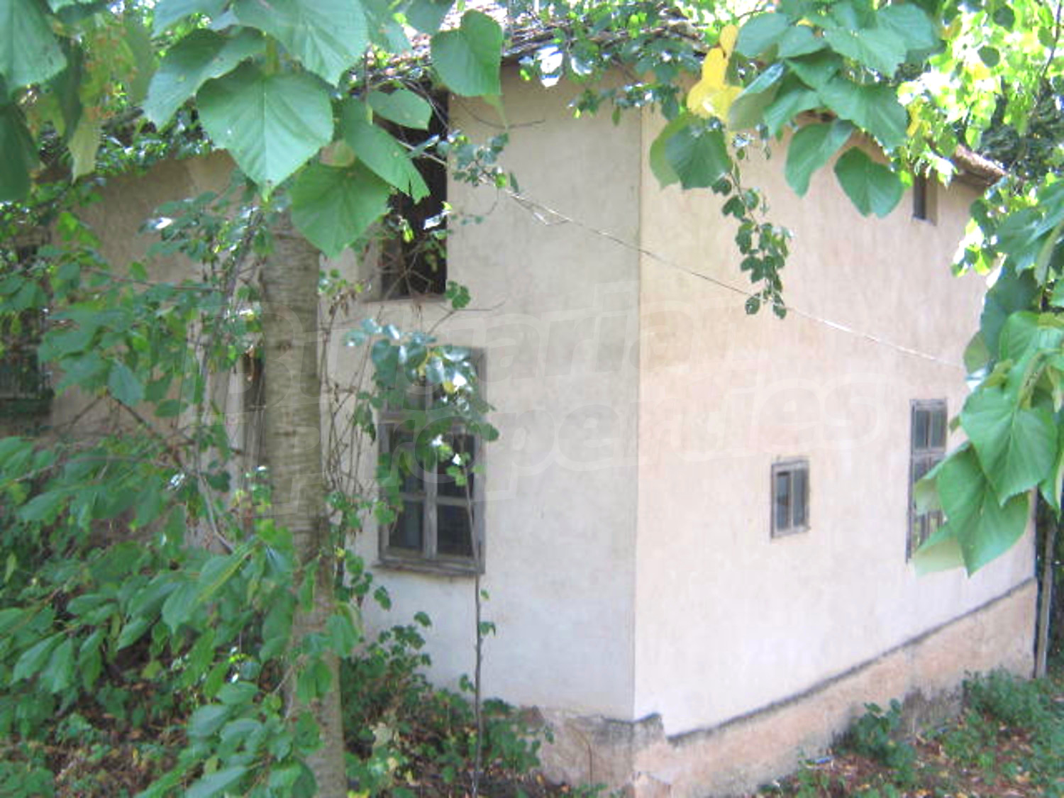 Gallery Picture 2