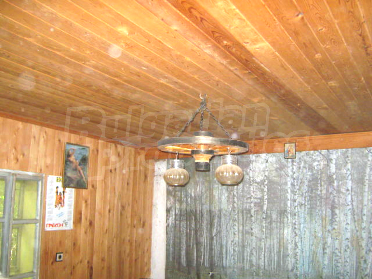 Gallery Picture 6