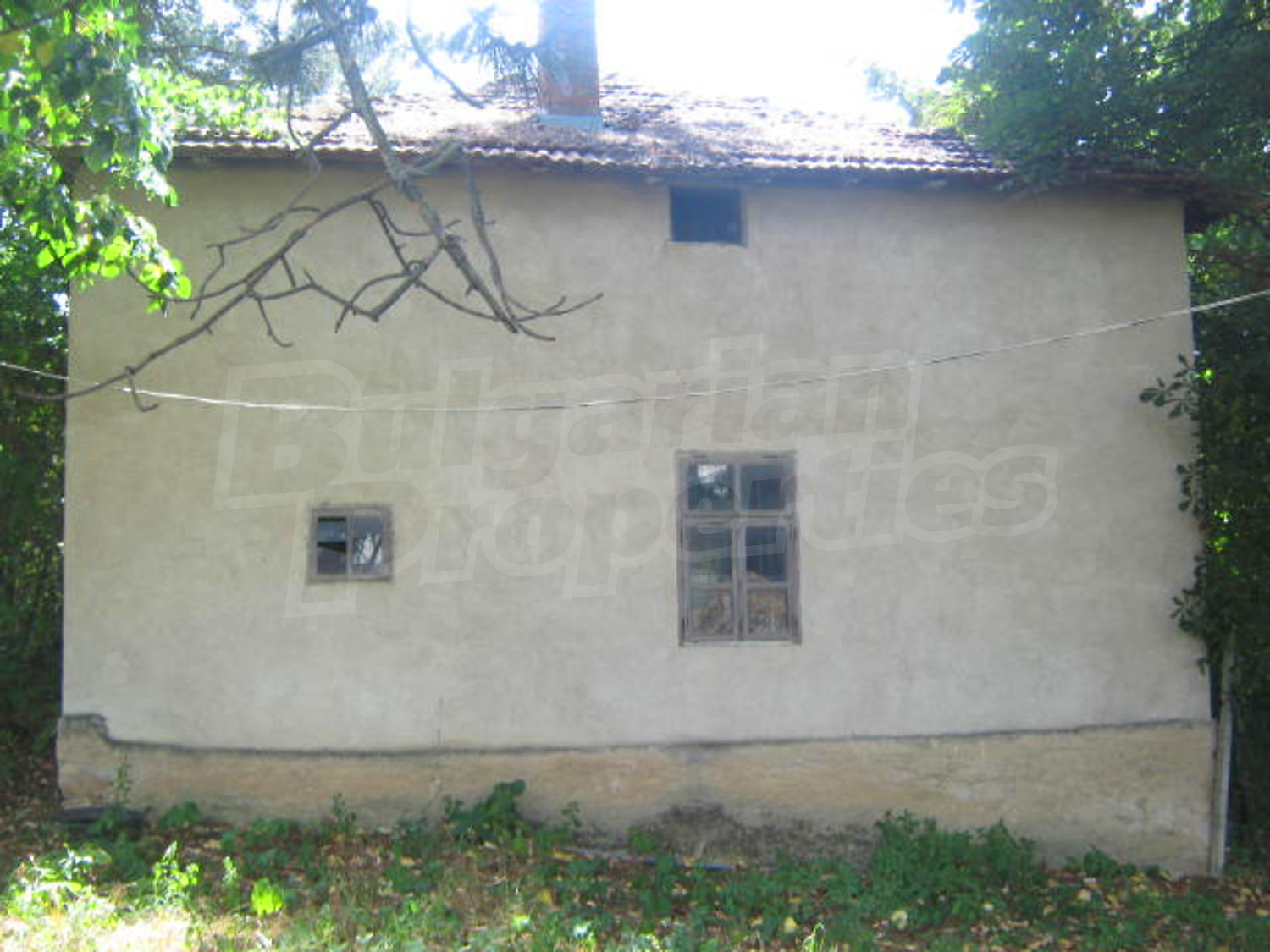Gallery Picture 7