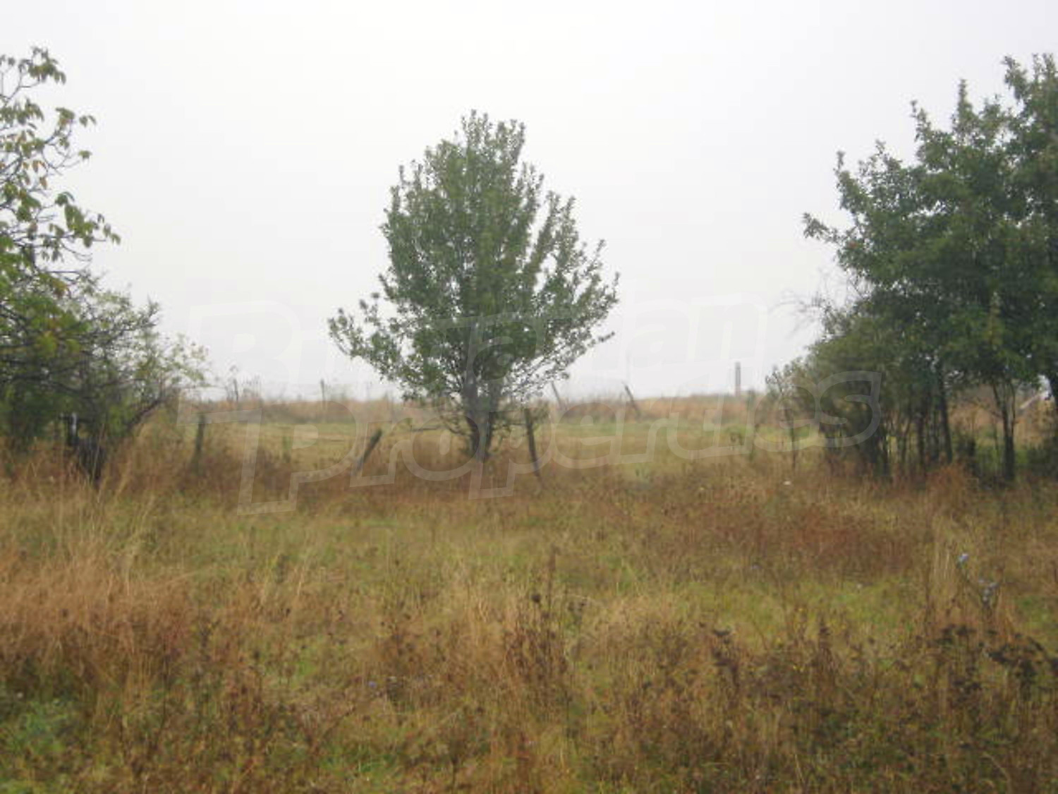 Gallery Picture 6