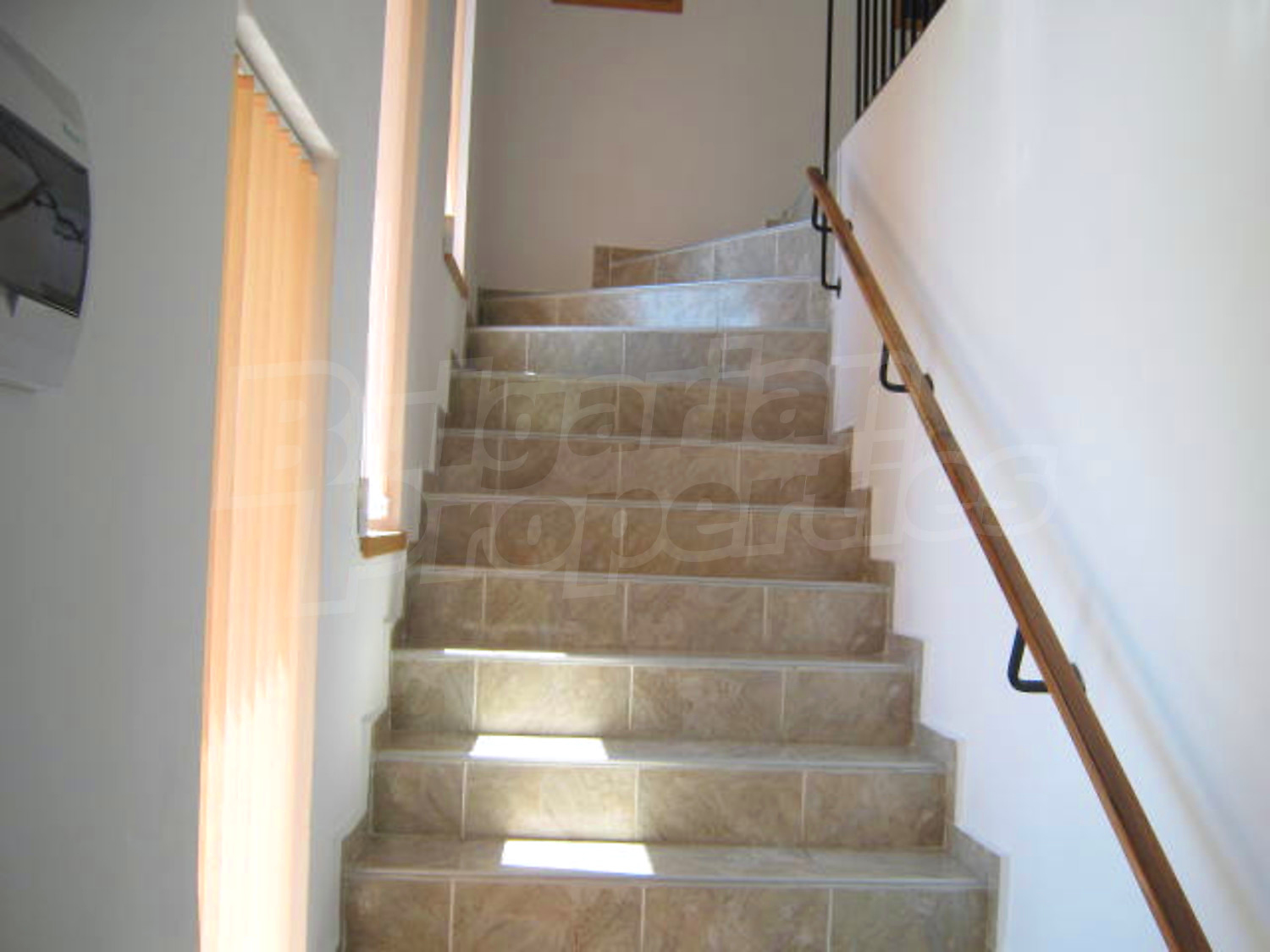 Gallery Picture 13