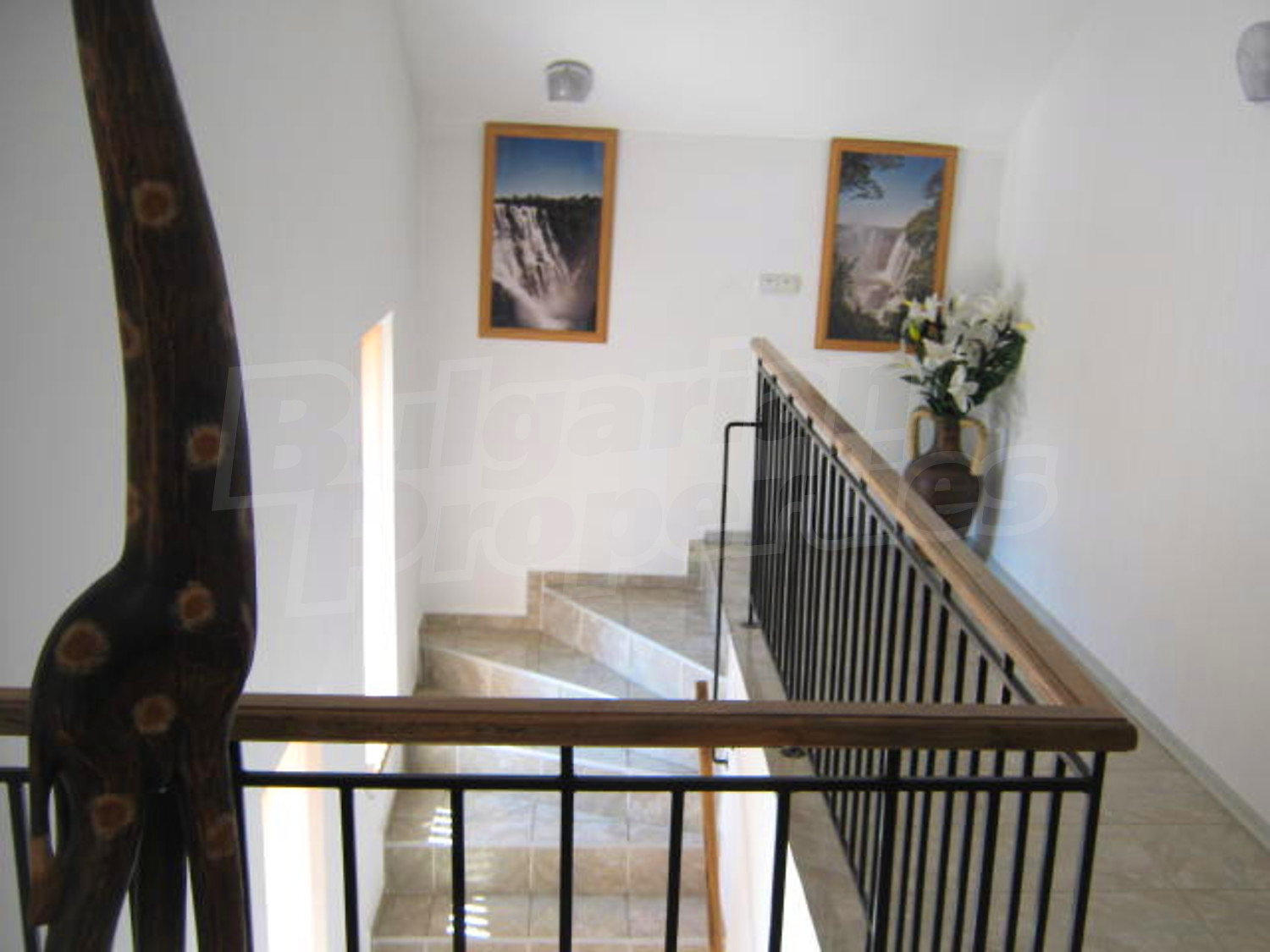 Gallery Picture 15