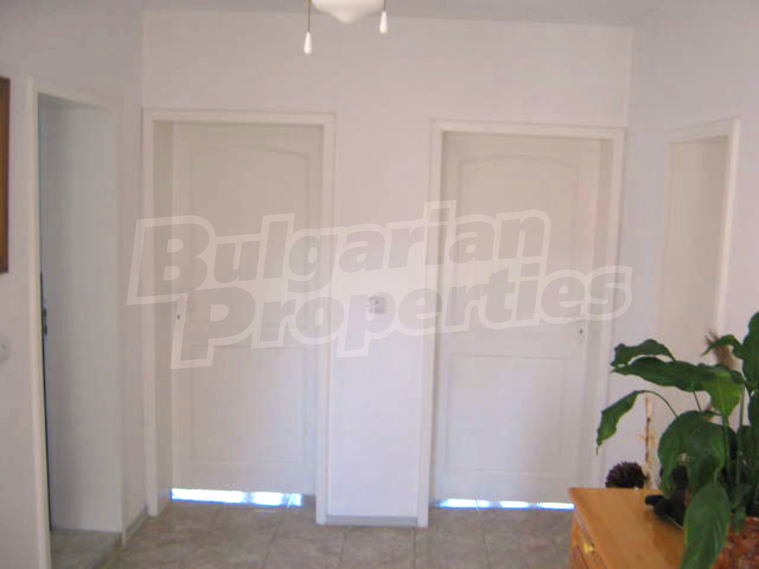 Gallery Picture 16
