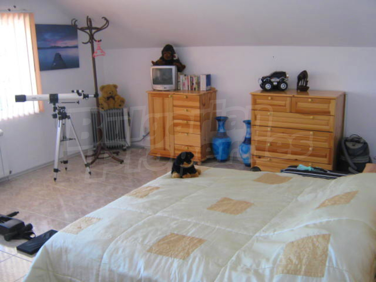 Gallery Picture 19