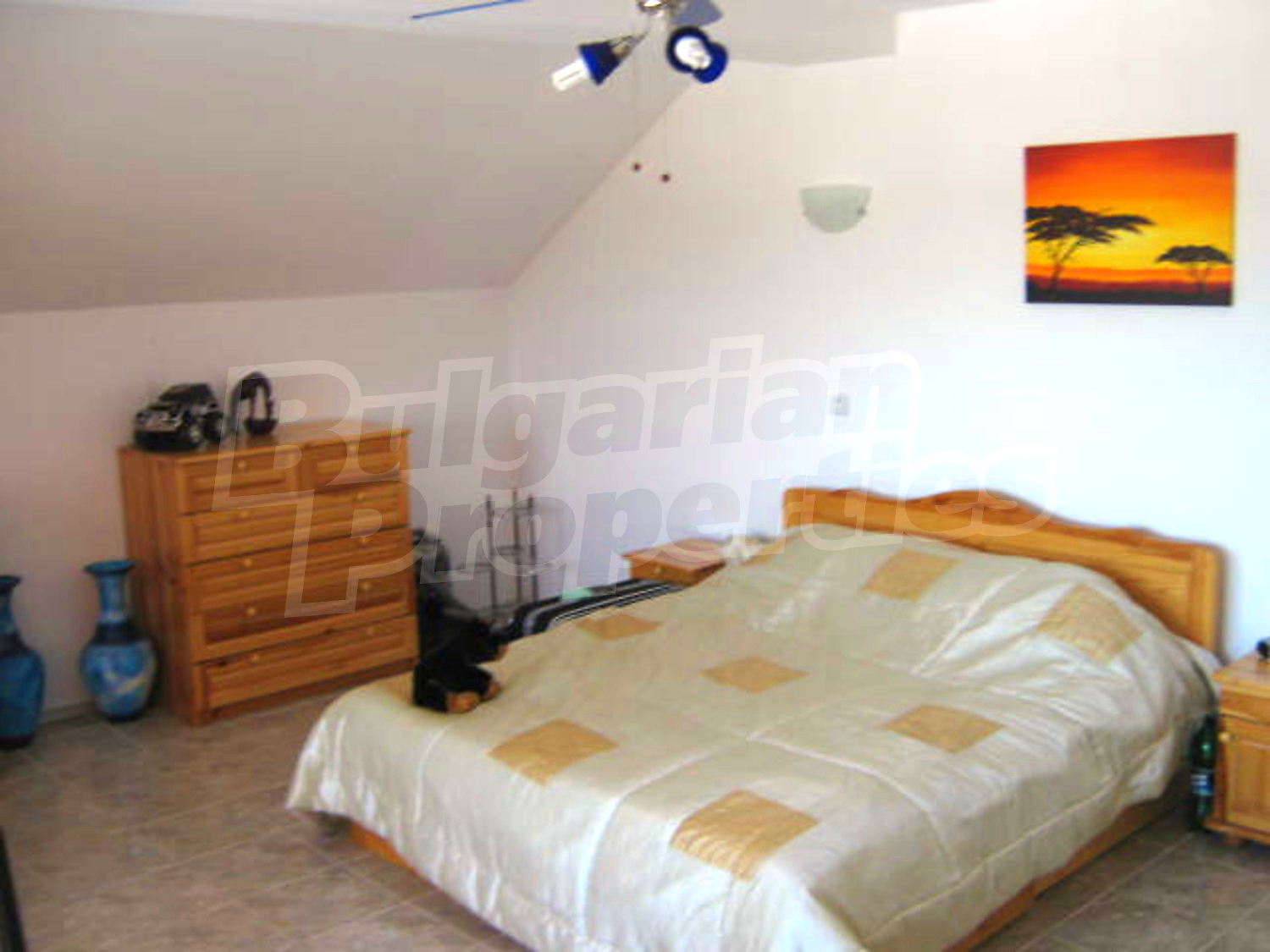 Gallery Picture 21