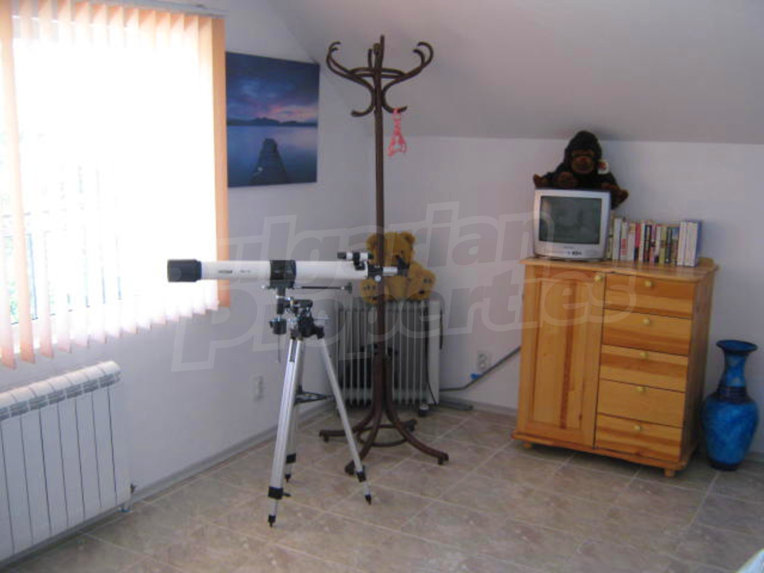Gallery Picture 22