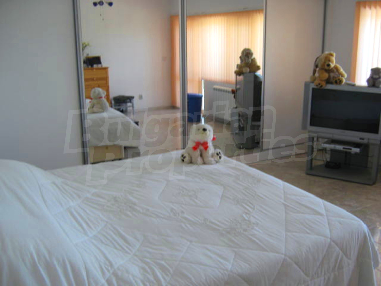 Gallery Picture 23