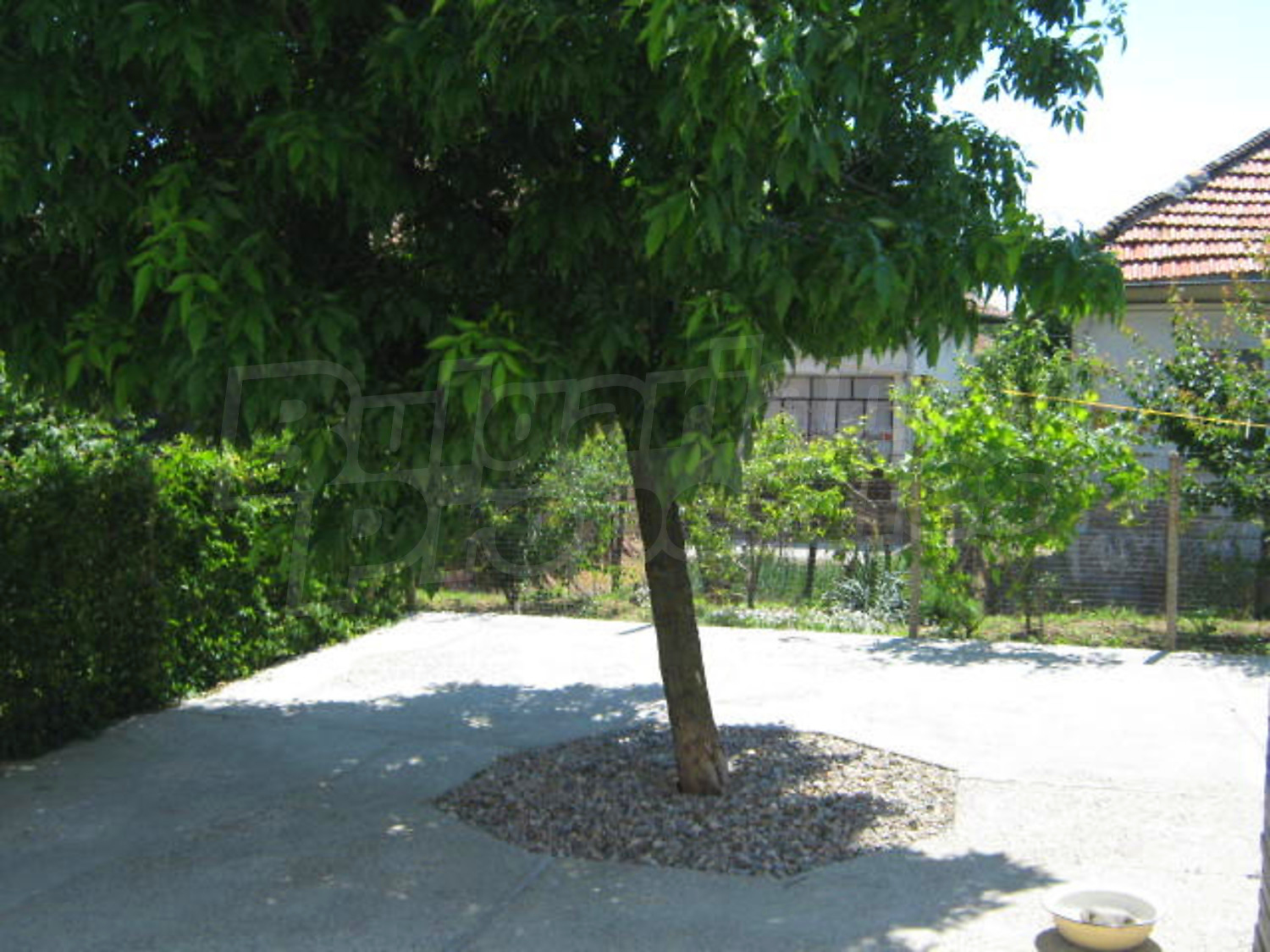 Gallery Picture 27