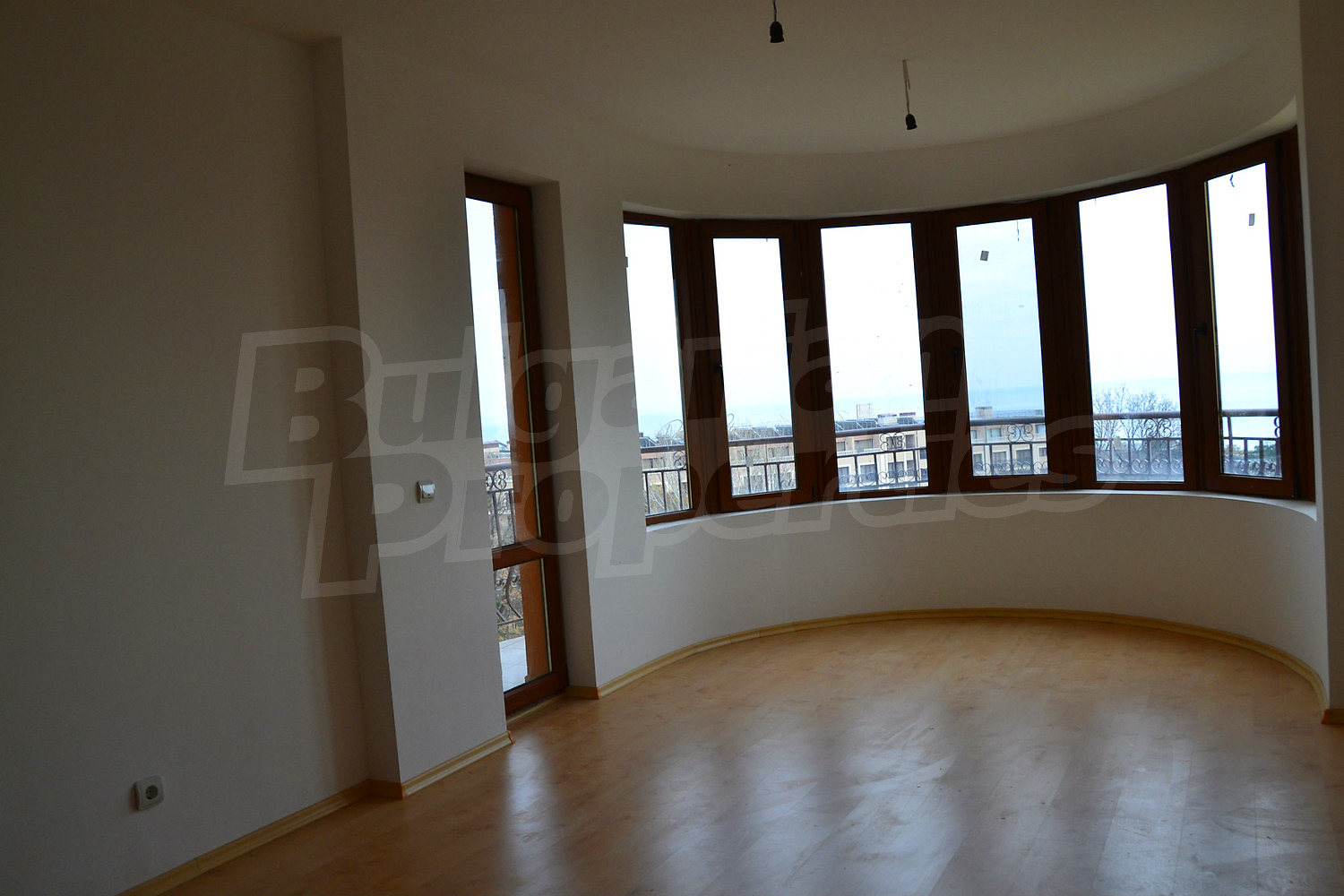 Gallery Picture 16
