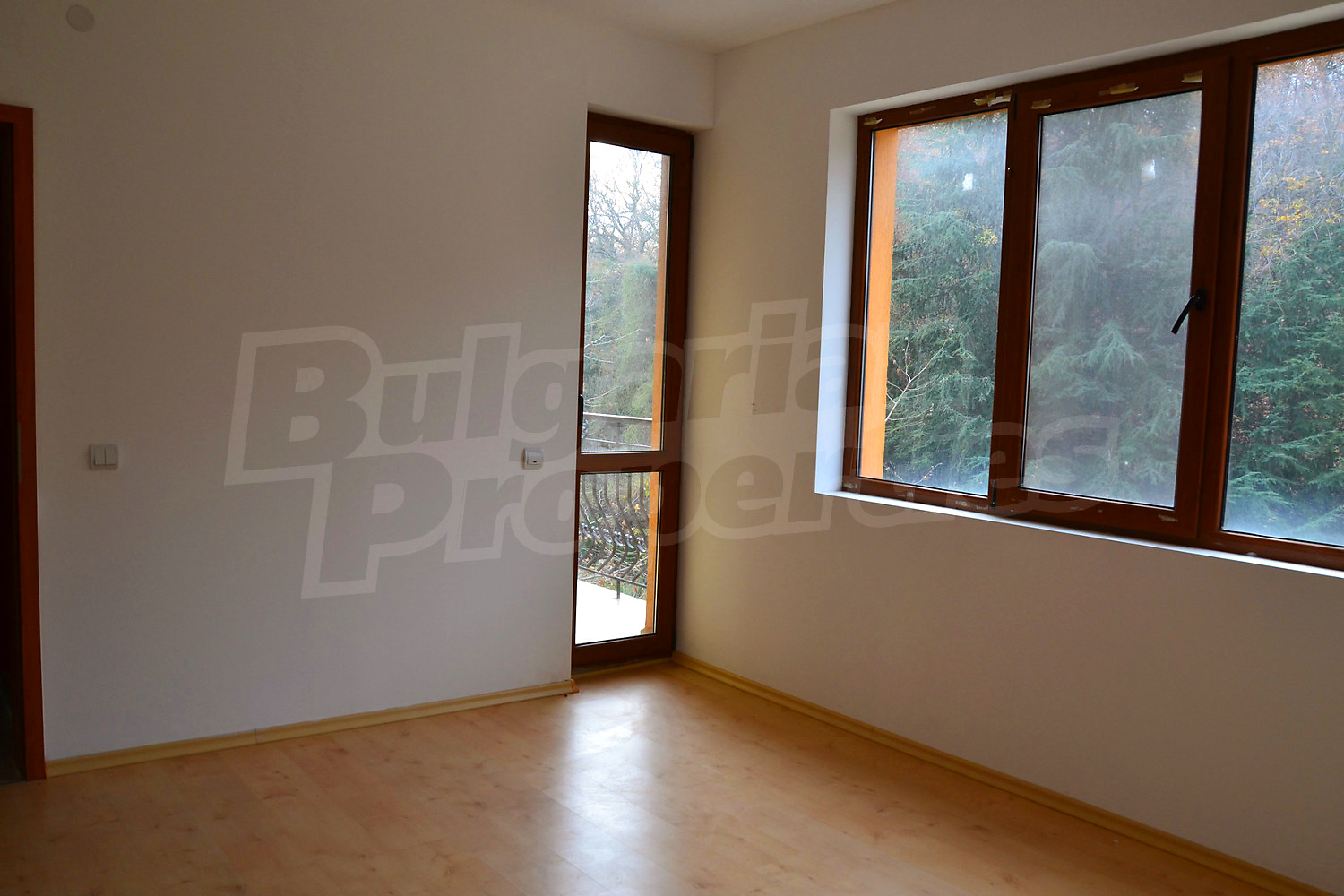 Gallery Picture 18