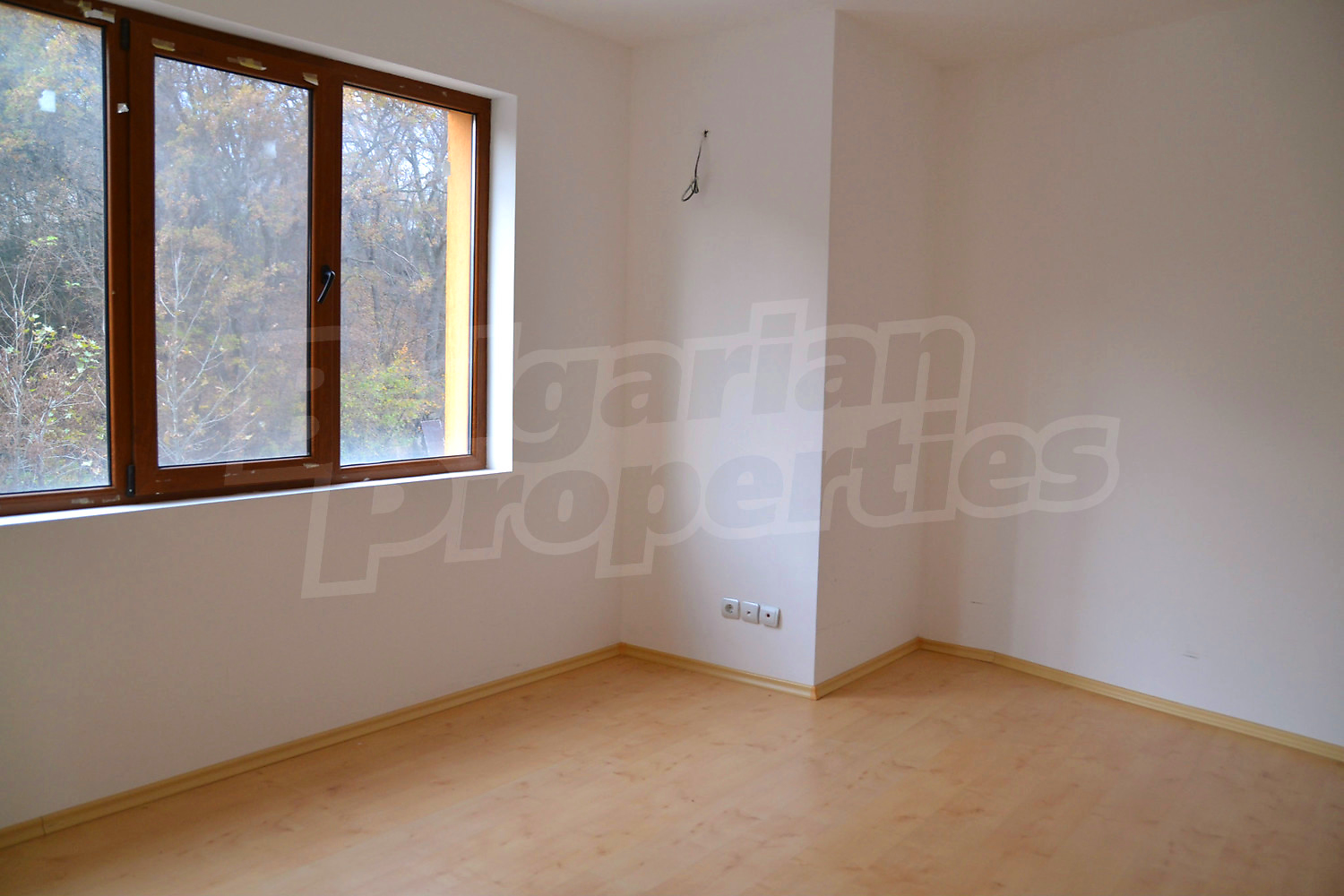 Gallery Picture 19