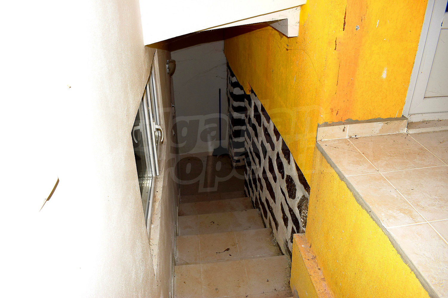 Gallery Picture 13