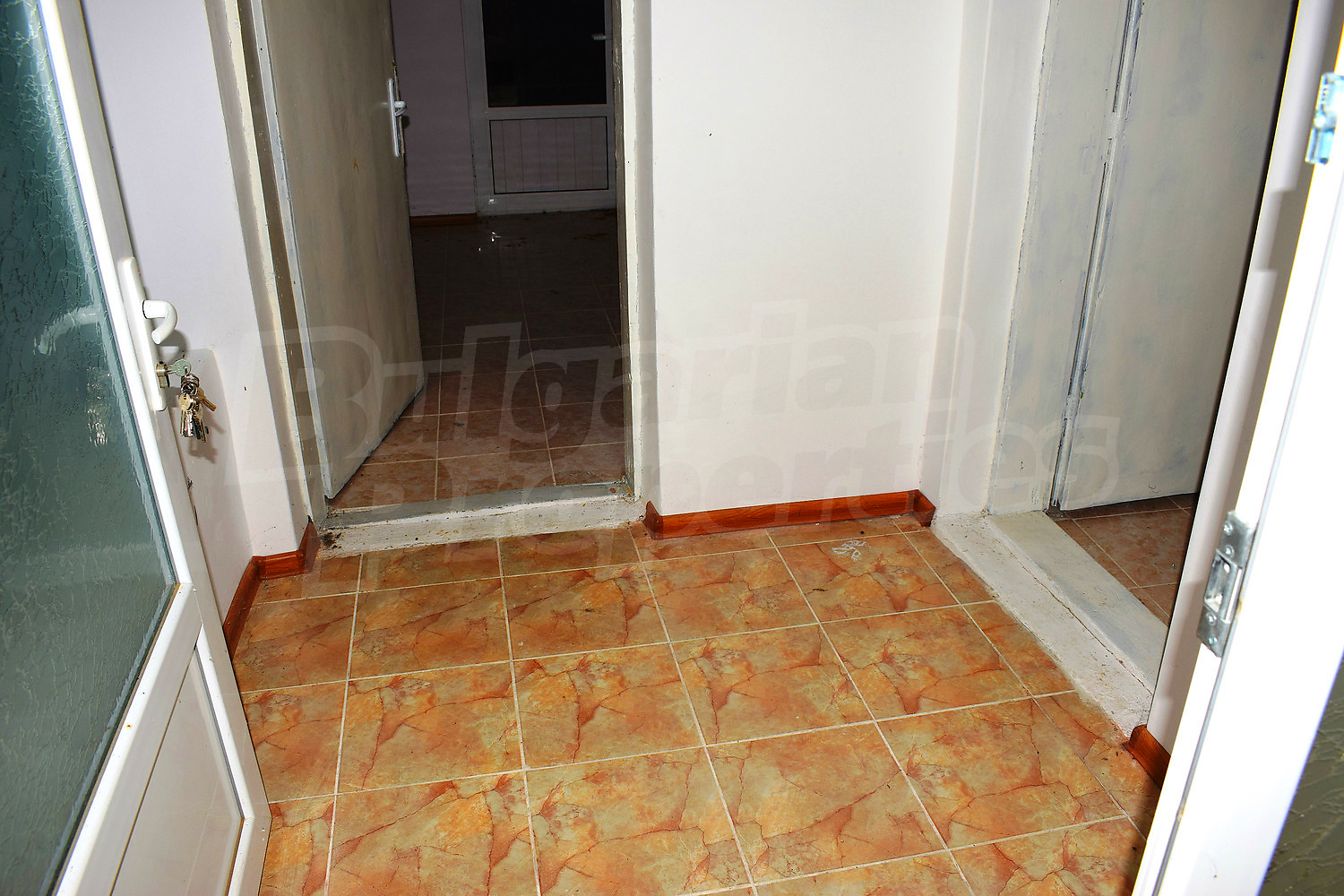 Gallery Picture 16