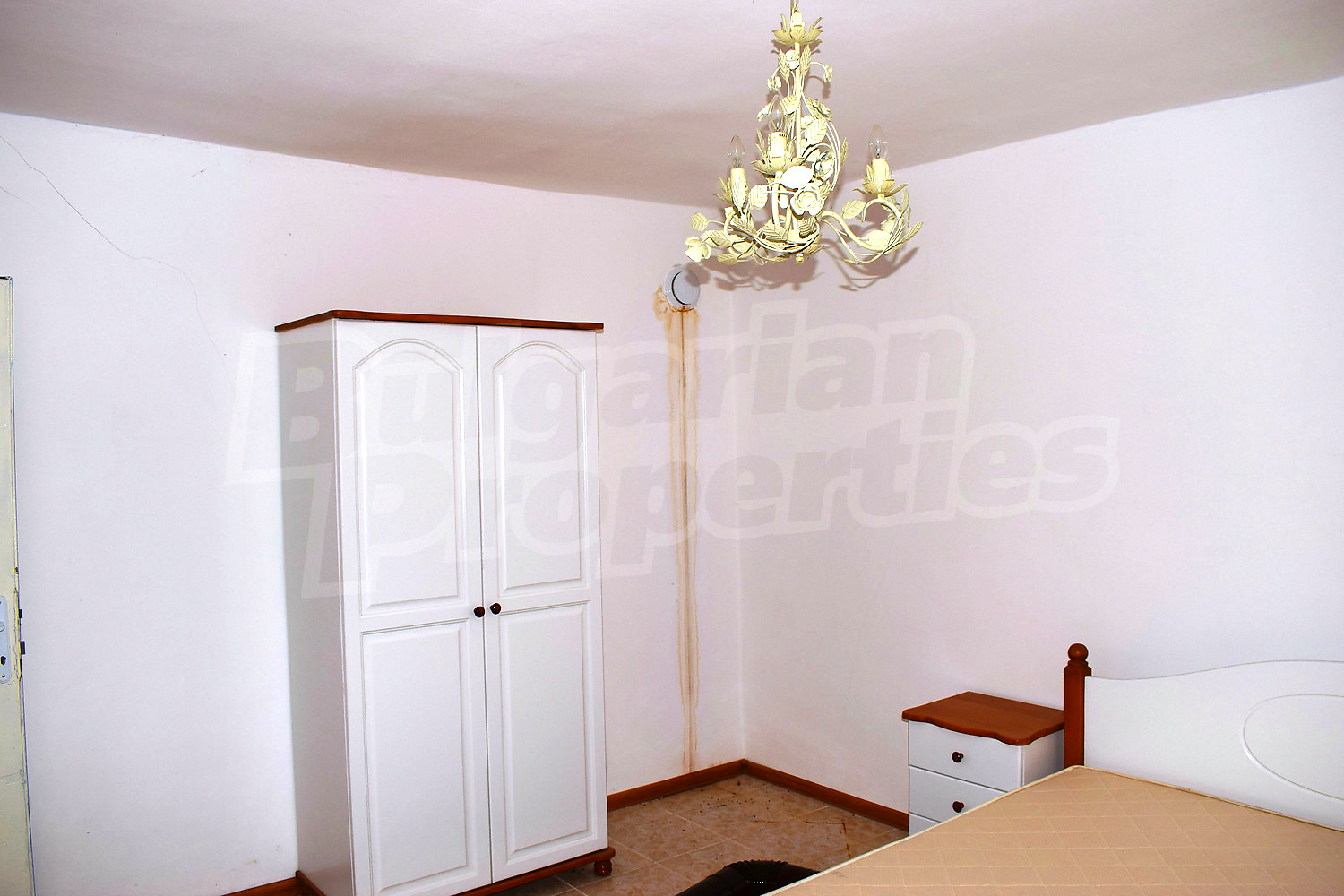 Gallery Picture 19