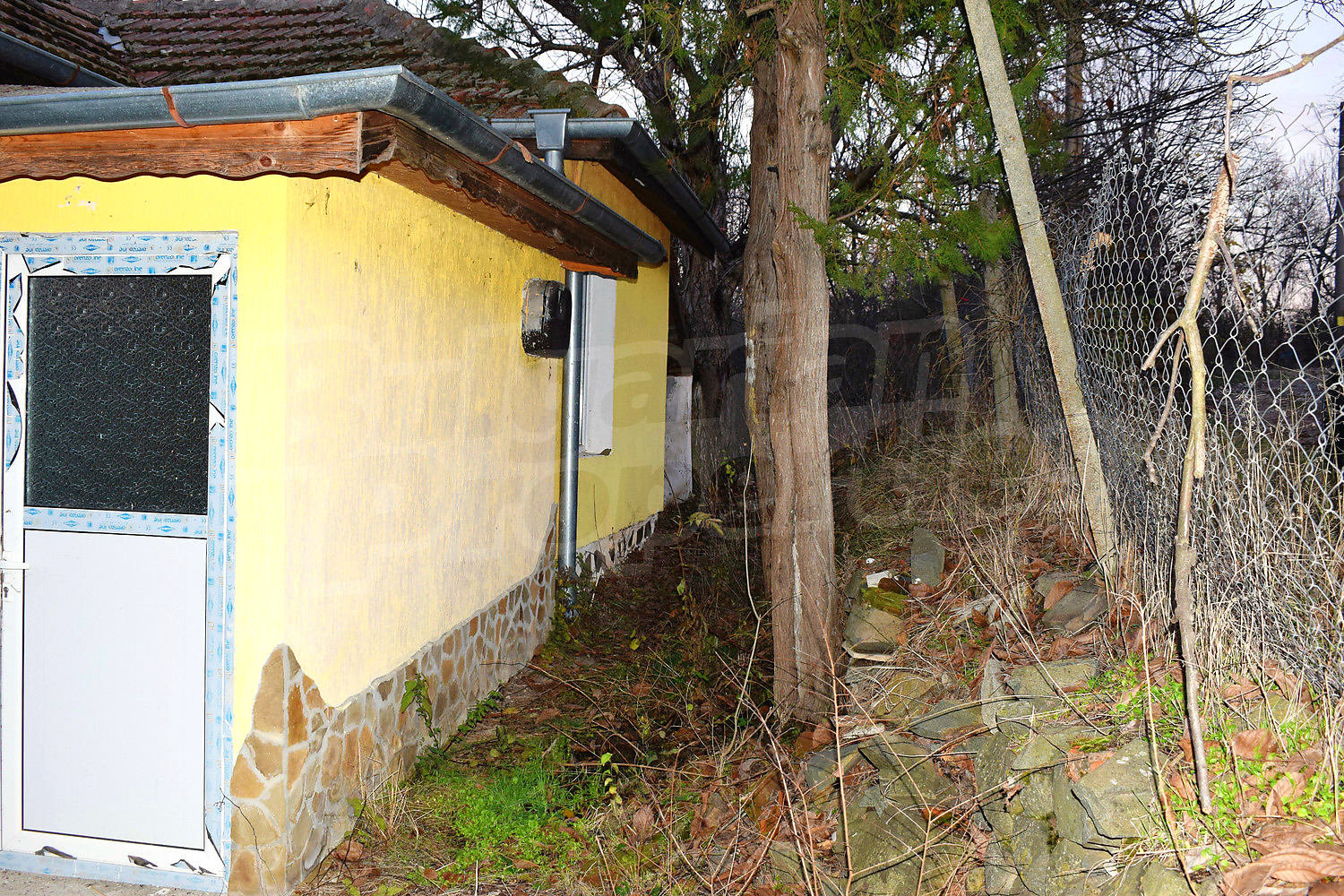 Gallery Picture 7
