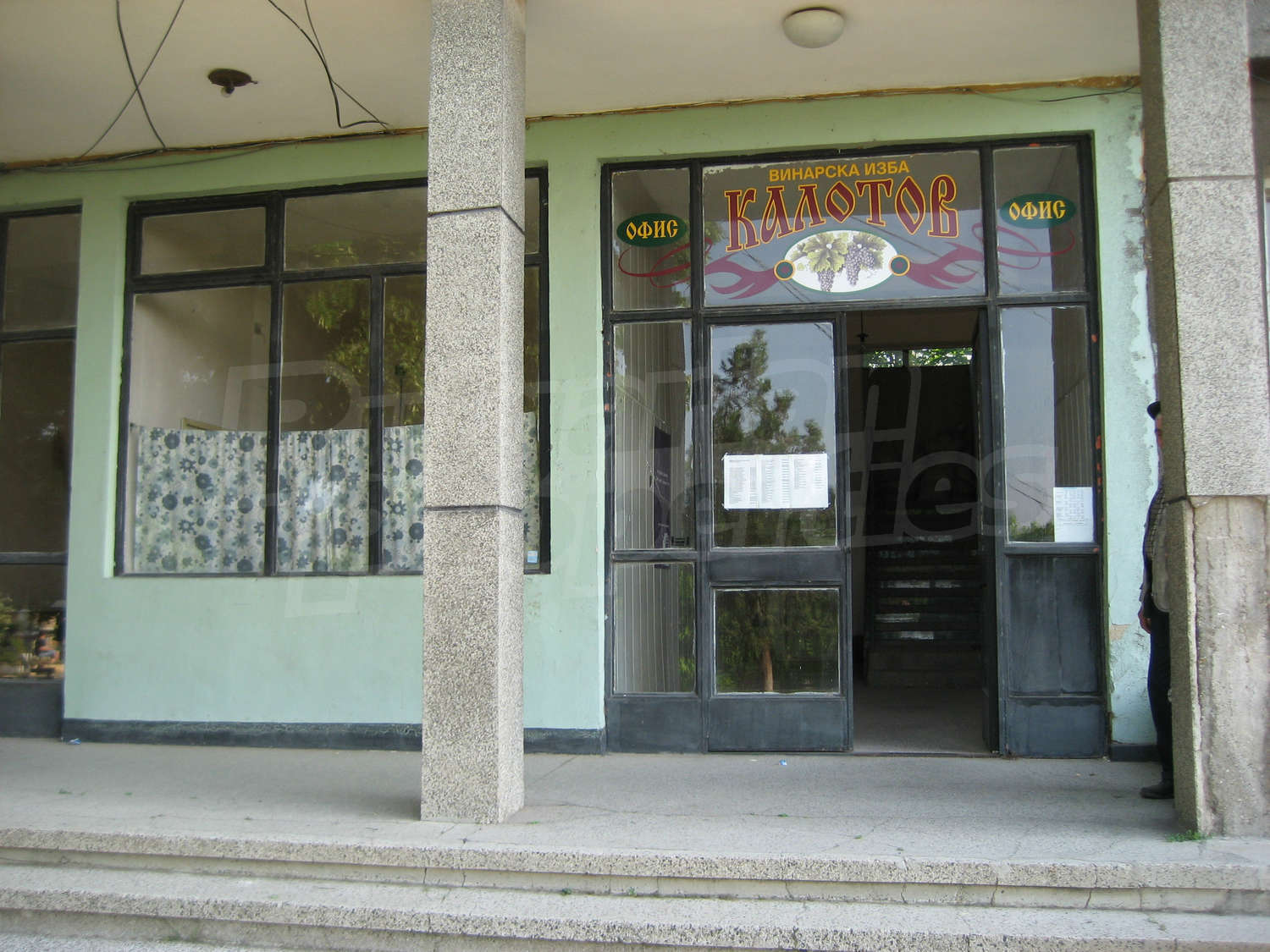 Gallery Picture 9