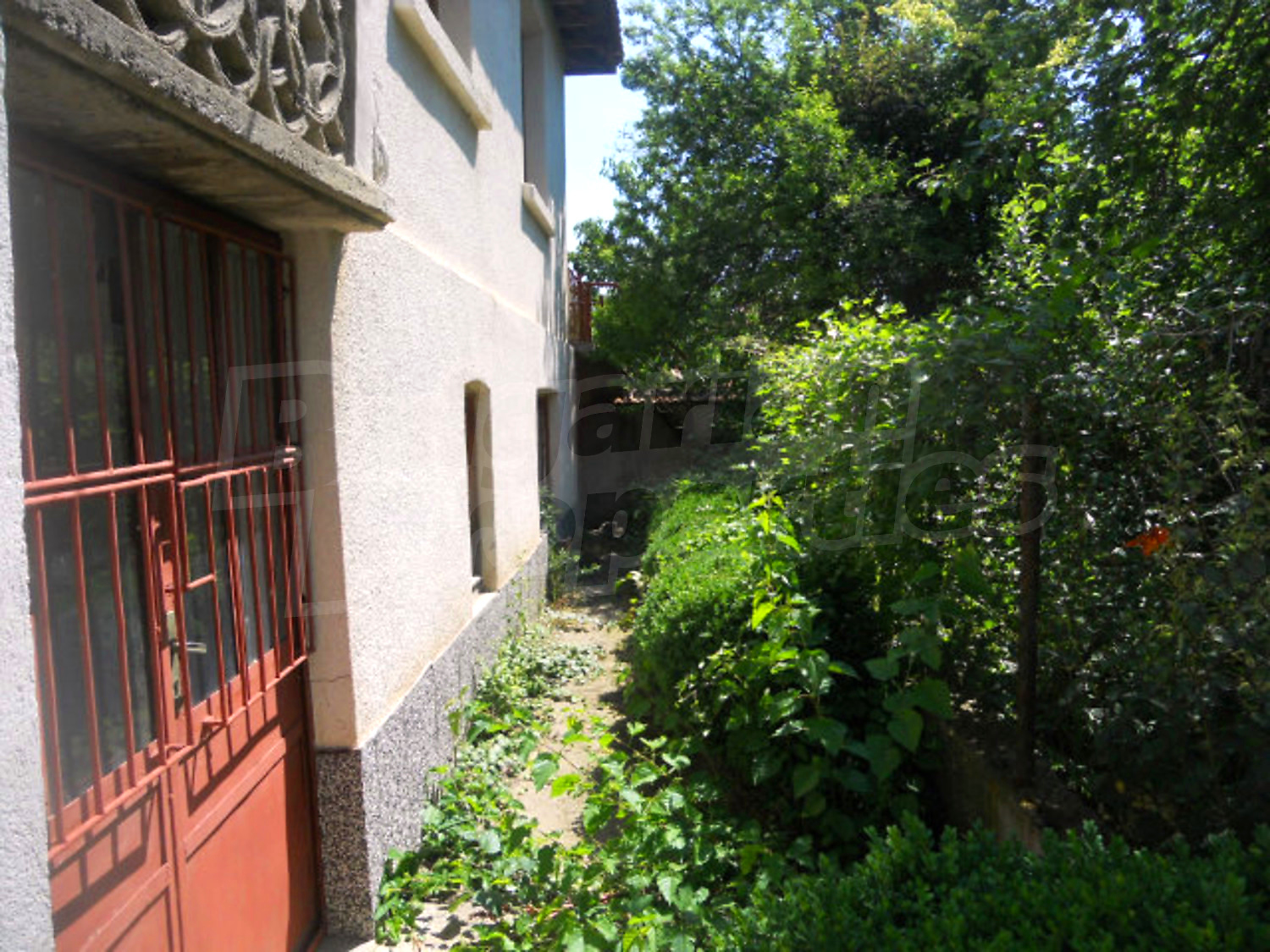 Gallery Picture 11