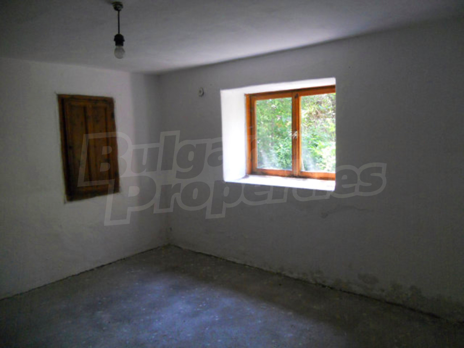 Gallery Picture 13