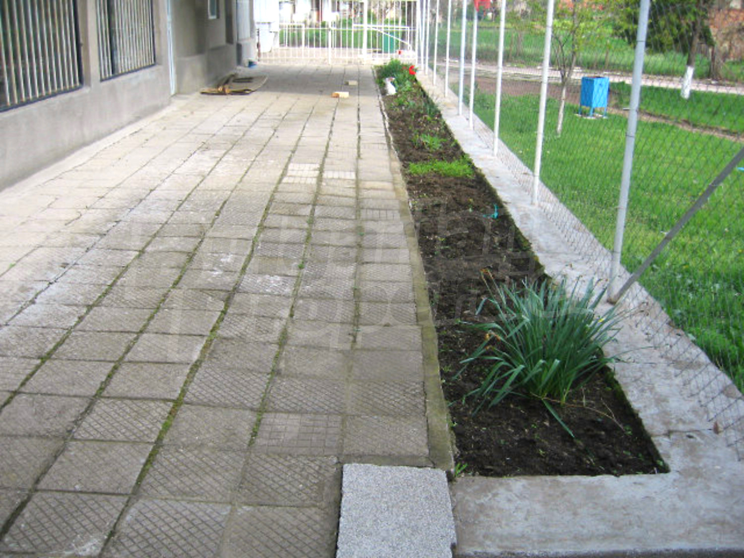 Gallery Picture 15