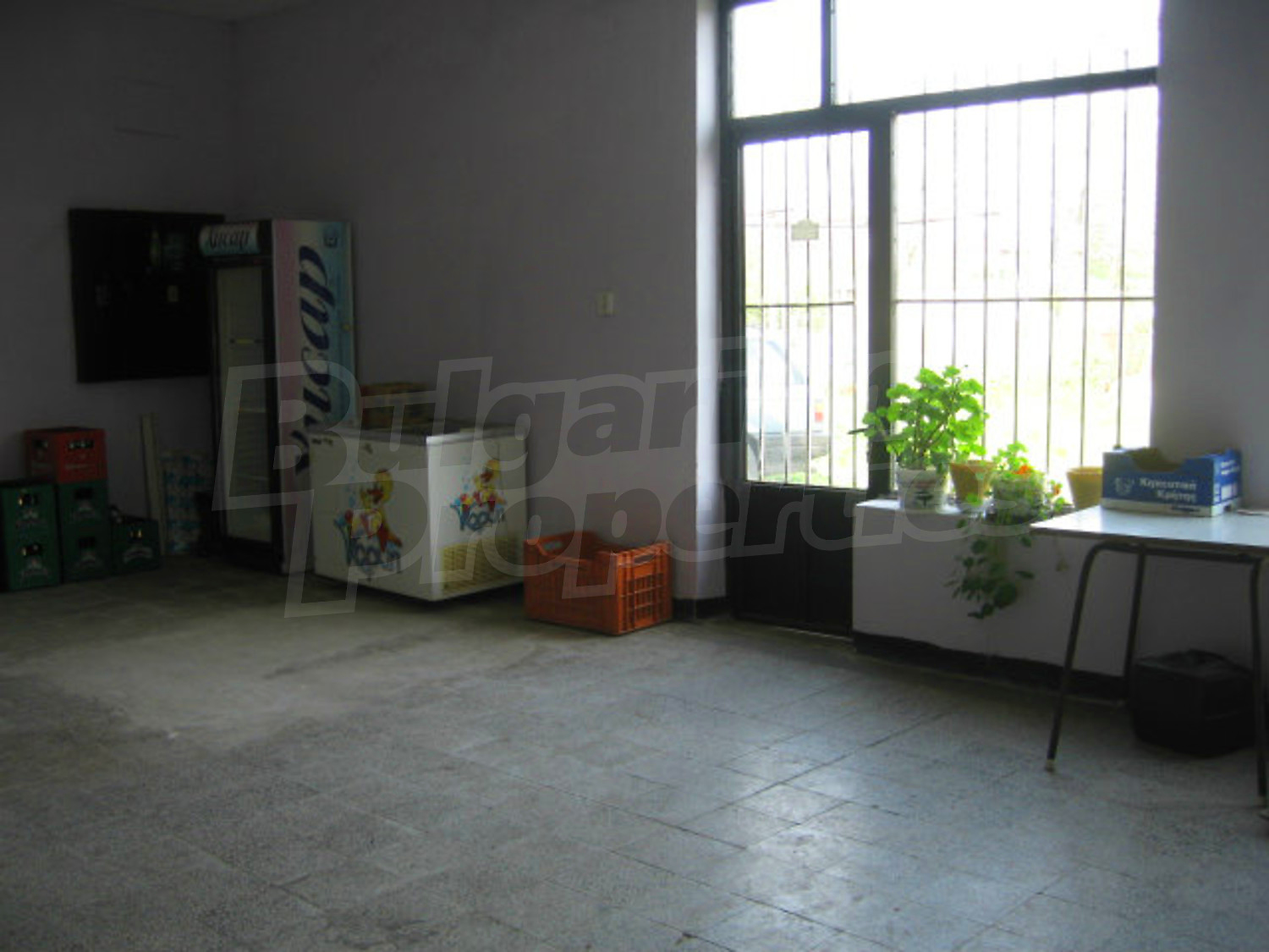 Gallery Picture 24