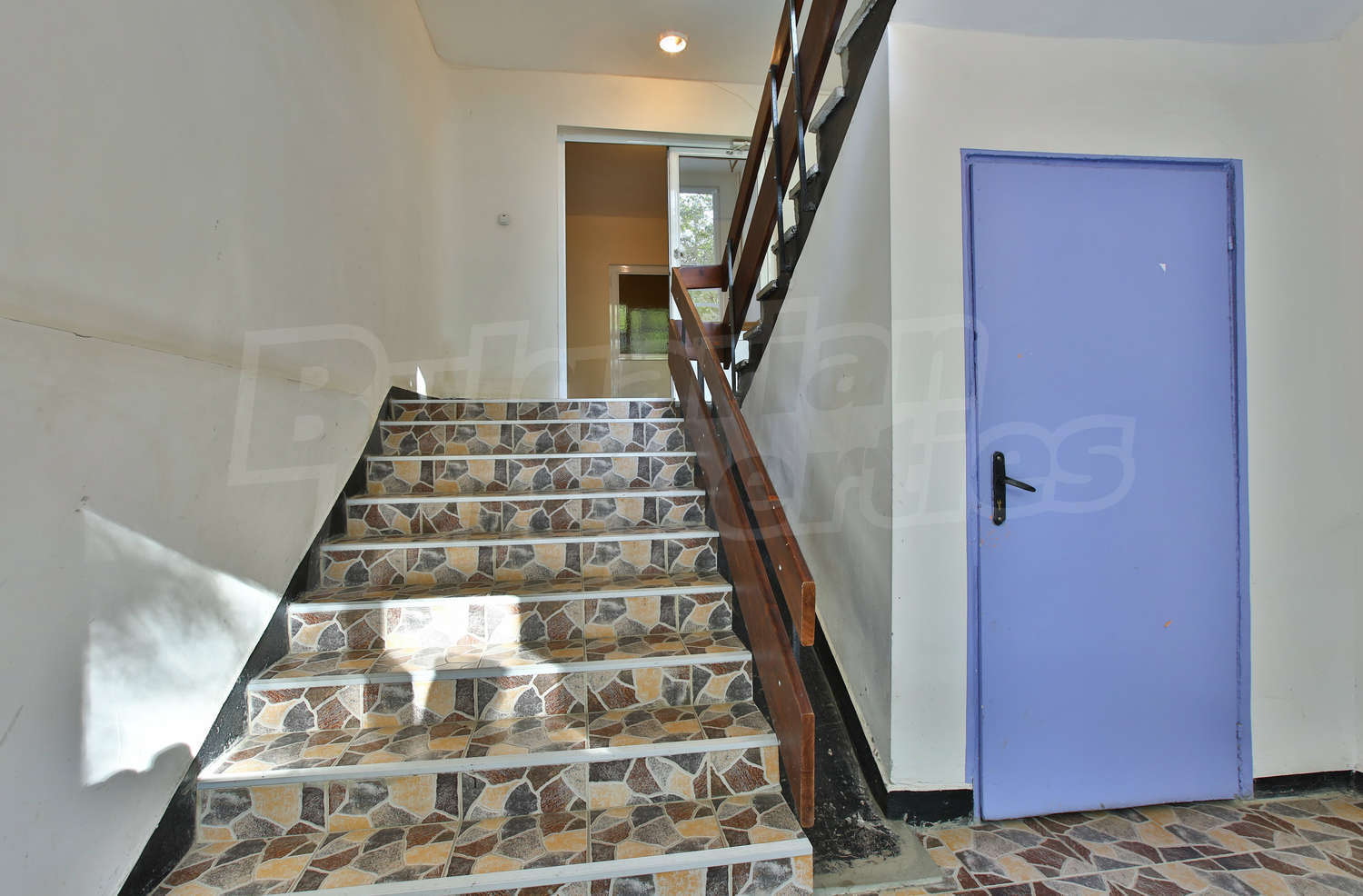 Gallery Picture 15