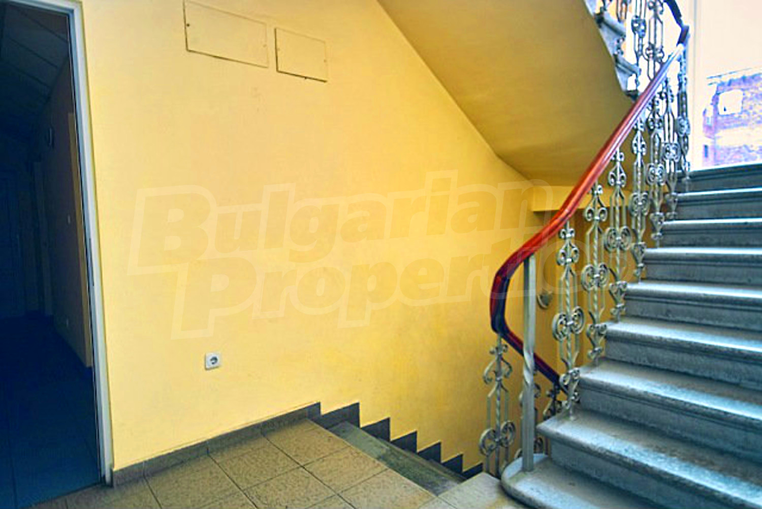 Gallery Picture 19