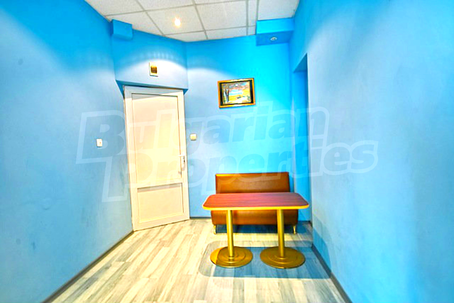 Gallery Picture 9