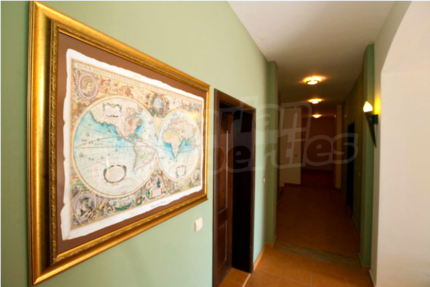 Gallery Picture 38