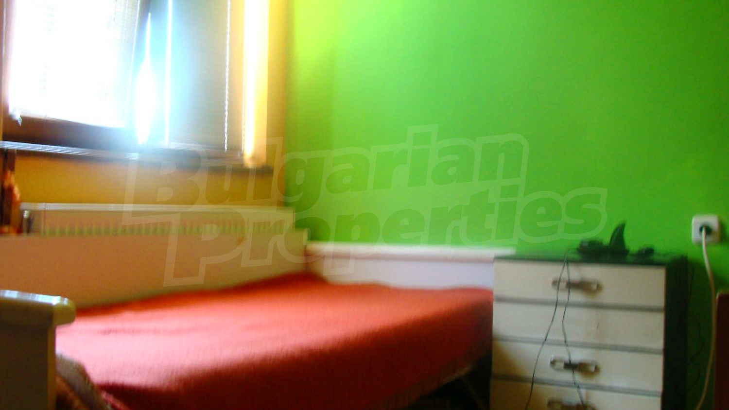 Gallery Picture 19