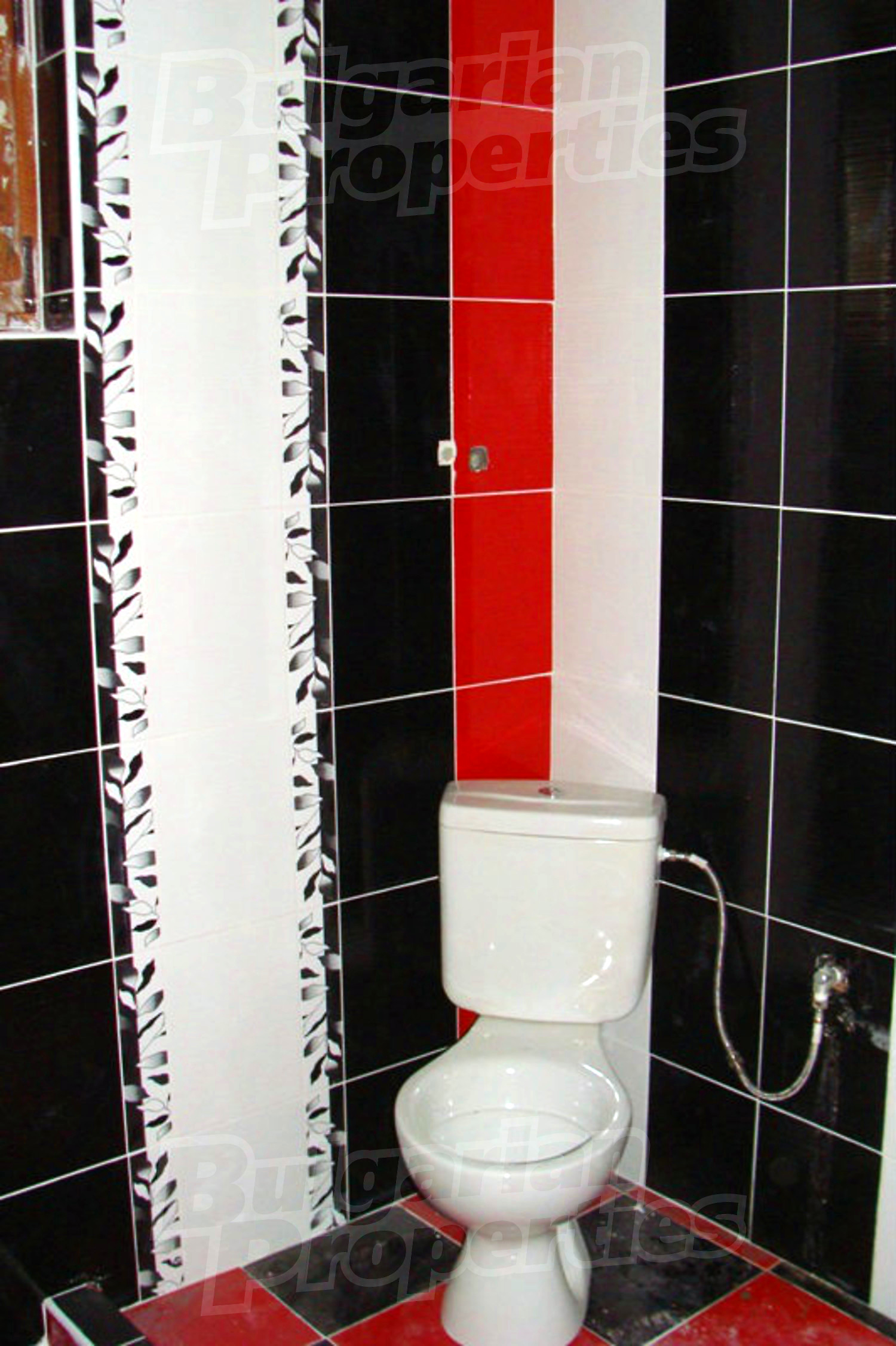Gallery Picture 21