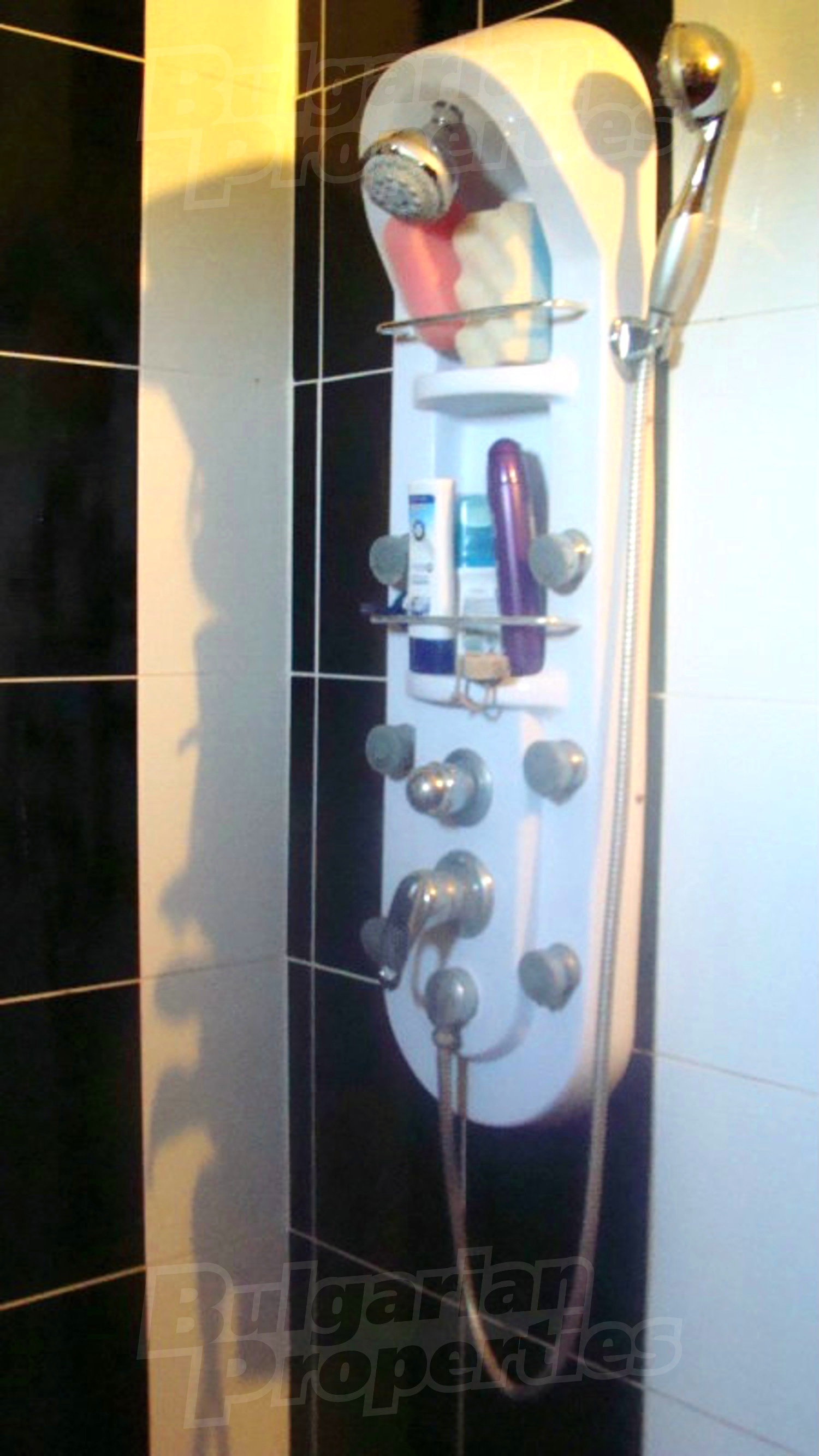 Gallery Picture 23