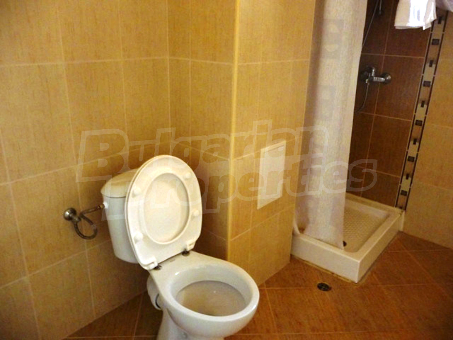Gallery Picture 29