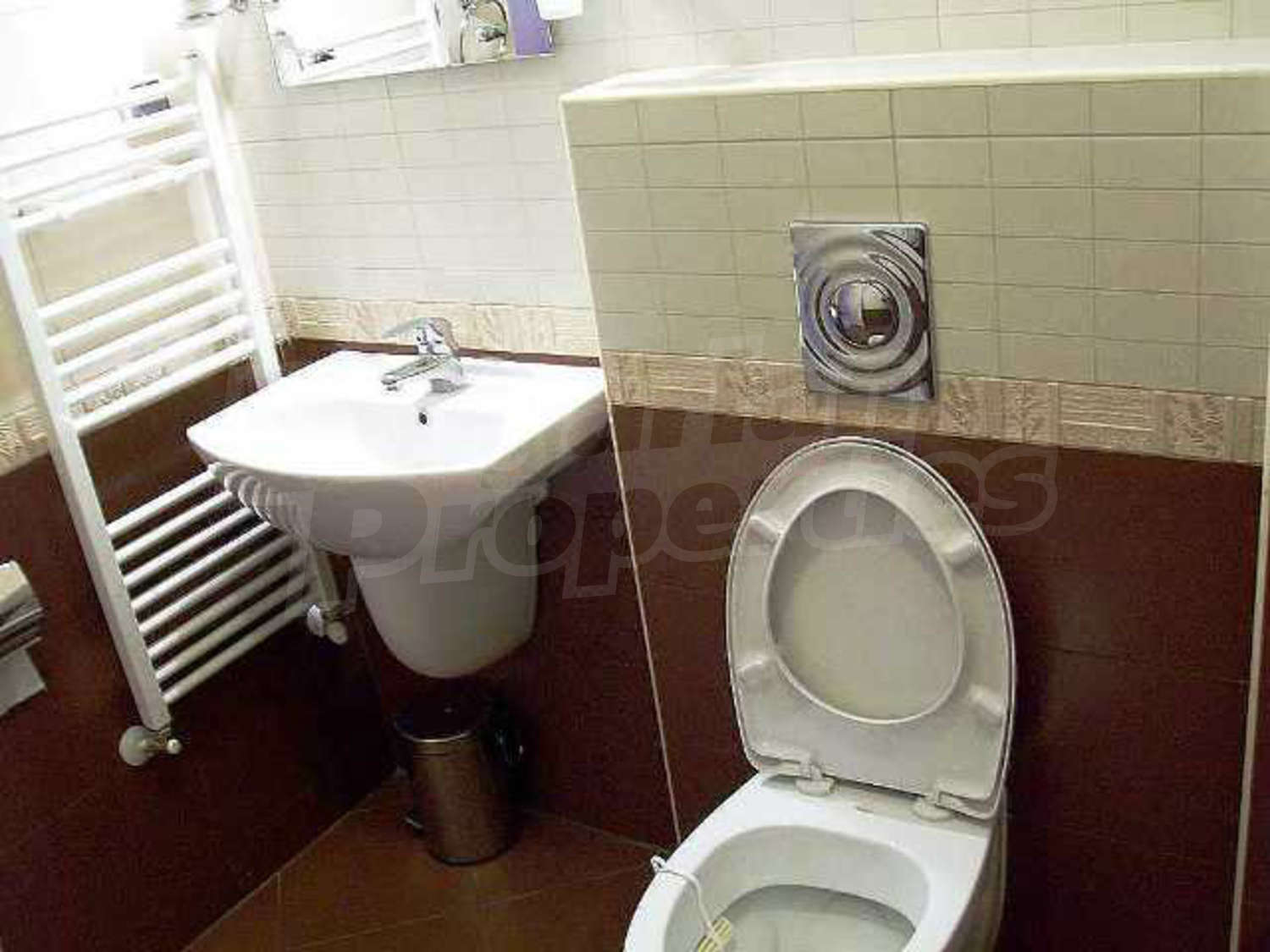 Gallery Picture 14