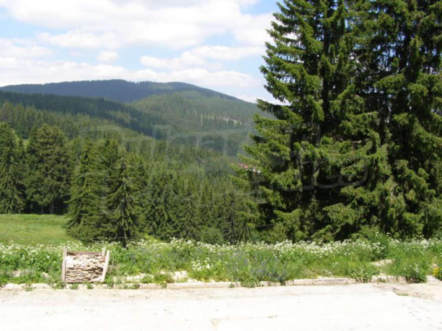 Gallery Picture 16