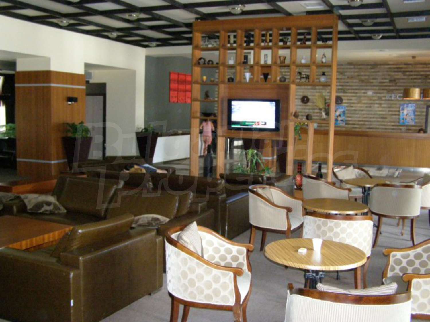 Gallery Picture 19