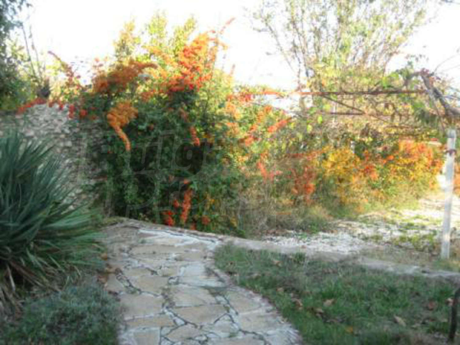 Gallery Picture 7