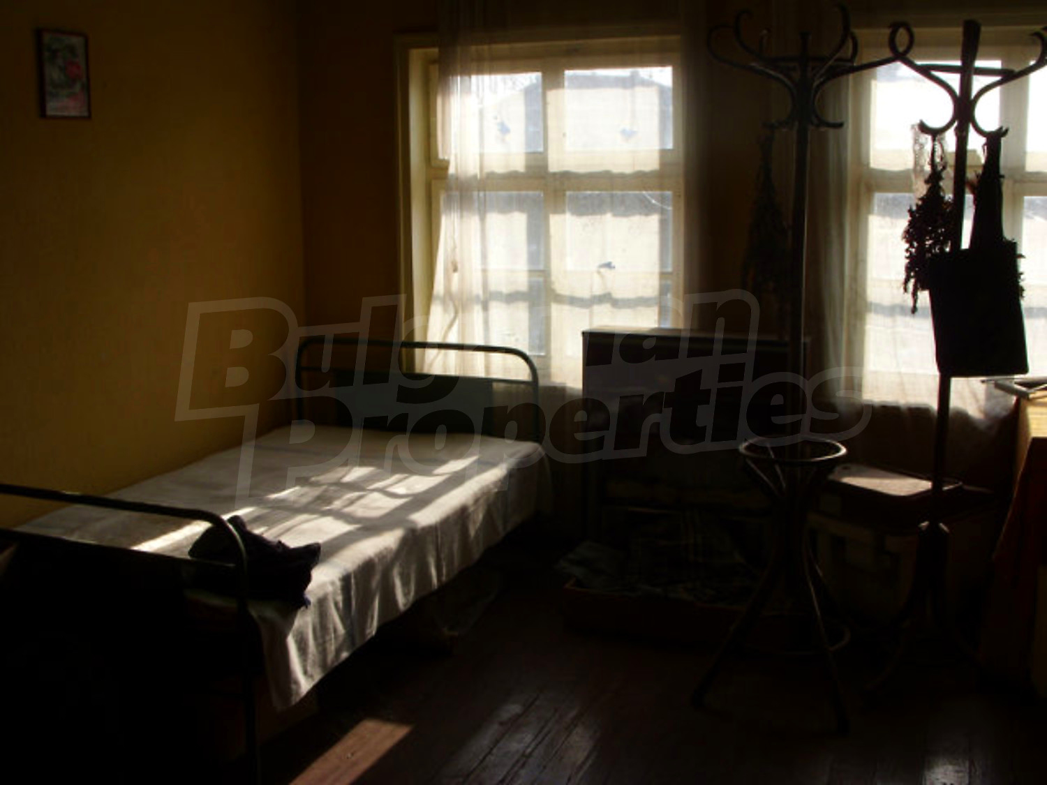 Gallery Picture 10