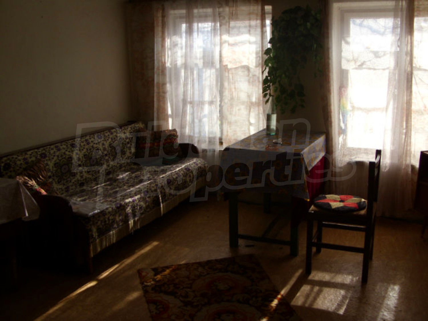 Gallery Picture 13