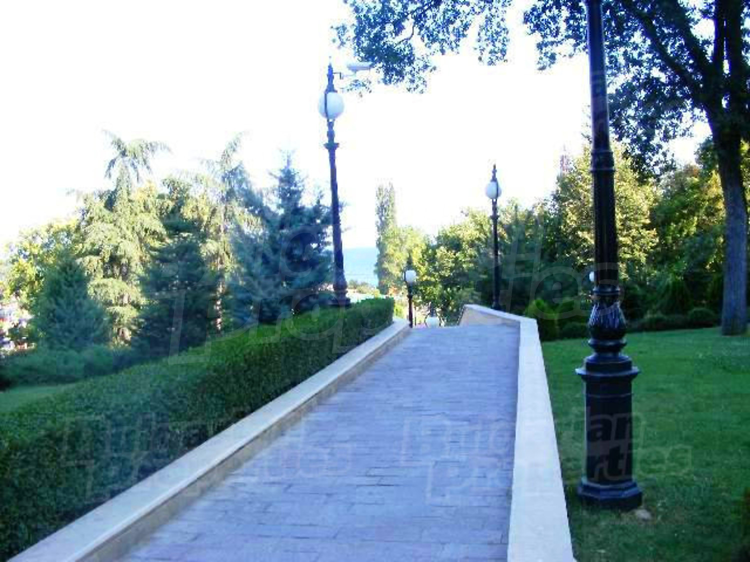 Gallery Picture 10